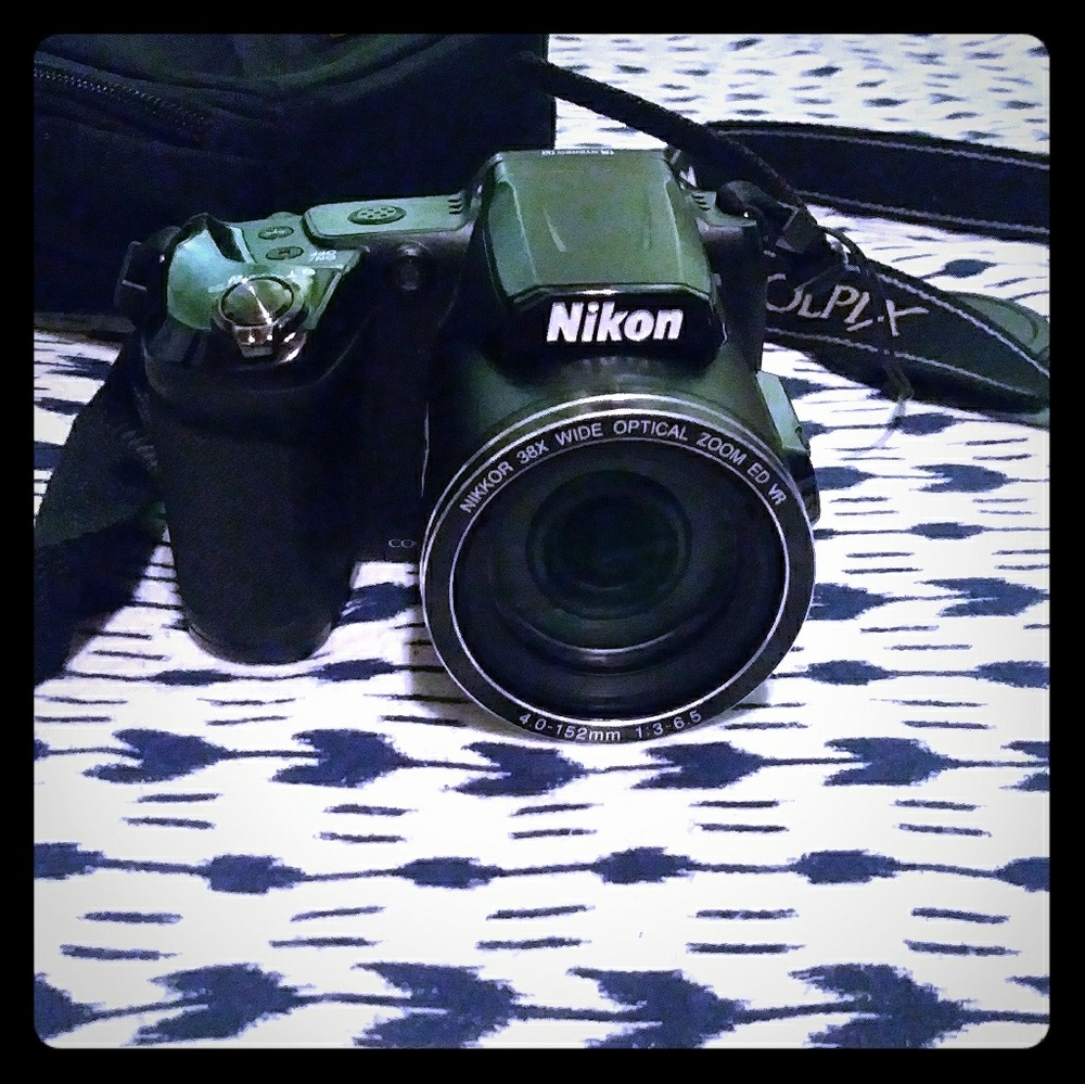 Nikon Camera coolpix 38x L480 camera & case